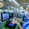 Las empresas invierten en tecnología y cumplen con altos estándares de mercado para promover las exportaciones. (Foto: Vietnam+)