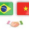 Отношения всеобъемлющего партнерства между Вьетнамом и Бразилией 