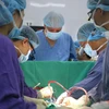 Врачи Вьетнамско-немецкой больницы дружбы проводят пересадку сердца. (Фото: Вьетнам+)