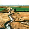 Дельта Меконга адаптируется к засухе и засолению почв