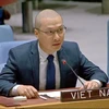 Советник-посланник Нгуен Хоанг Нгуен, заместитель постоянного представителя Вьетнама при ООН. (Фото: ВИA)