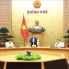 Премьер-министр Фам Минь Тьинь (в центре) председательствует на очередном заседании правительства 1 июня. (Фото: ВИA)
