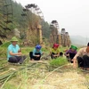 Жители Нгокчиен, сельской общины нового типа в уезде Мыонгла, провинция Шонла, готовят материалы для восстановления водяных колес в целях развития туризма. (Фото: ВИА)
