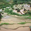Террасные поля Кхунха в сезон разлива воды