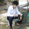  Ветеринар в уезде Витхуй провинции Хаужанг проводит вакцинацию домашней птицы (Фото: ВИA) 