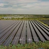 Солнечная электростанция Europlast Long An в южной провинции Лонган (Фото: ВИA)