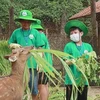 Молодые люди участвуют в программе "Cuc Phuong Camp 2024" в национальном парке Кукфыонг в северной провинции Ниньбинь (Фото: ВИA)