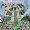 Креветки, обработанные для экспорта на предприятии Minh Phu Seafood Corp (Фото: ВИA)