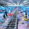 Стоимость экспорта морепродуктов к октябрю 2024 года достигла 8,33 миллиарда долларов США, что на 12% больше, чем в прошлом году. (Фото: ВИA)