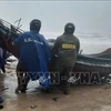 Las la provincia de Thua Thien-Hue ayudan a los pescadores a trasladar sus embarcaciones a la costa antes de que la tormenta Trami llegue a tierra firme. (Fuente: VNA)