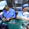 Gran potencial de cooperación comercial entre Vietnam y Chile