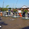 Los turistas visitan y experimentan la alimentación de los peces en el río Tien, ciudad de Hong Ngu, provincia de Dong Thap. (Fuente: VNA)