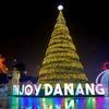 Da Nang organizará festival de bienvenida al nuevo año (Fuente: baotainguyenmoitruong.vn)