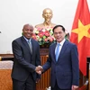 El viceprimer ministro y canciller de Vietnam, Bui Thanh Son, sostiene una reunión con el viceministro de Asuntos Exteriores y Cooperación de Tanzania, Cosato David Chumi (Fuente: VNA)