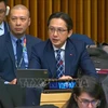 El viceministro de Relaciones Exteriores vietnamita Do Hung Viet ratificó el firme compromiso de su país con los esfuerzos de ayuda humanitaria (Fuente: VNA)