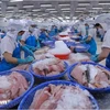 Des ouvriers transforment des produits aquatiques destinés à l’exportation. Photo : VietnamPlus