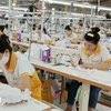 Des ouvriers travaillant dans une chaîne de confection de vêtements pour l'exportation. Photo: VNA