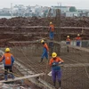 Des ouvriers sur le chantier de construction de la ligne d’électricité circuit-3 de 500 kV. Photo: VNA