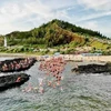350 nageurs se sont joints à l'épreuve de 5 km qui a débuté à la porte To Vo sur l'île Lon (Grande) et s'est terminée sur l'île Be (Petite). Photo : VNA