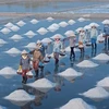 Les champs de sel de Sa Huynh, dans la province de Quang Ngai, sont les plus importants au Centre. Source : topquangngai.vn