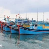 La lutte contre la pêche INN n’est qu’une étape nécessaire pour protéger les ressources halieutiques et l'économie maritime et non pas seulement pour répondre aux exigences de la CE. Photo: VNA