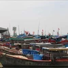 Des bateaux de pêche mouillant au port de pêcge de Dinh An, dans la province de Trà Vinh. Photo: VNA
