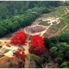 Vestige de la colline A1 dans la vallée de Diên Biên Phu. Photo : VNA