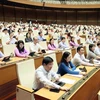 Les députés de l’Assemblée nationale votent sur la Loi sur la capitale (amendée) Photo : VNA
