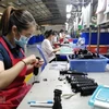 Fabrication de composants d'amortissement en caoutchouc de haute technologie dans l'usine de la SARL Tuong Lai, à Dông Nai. Photo : VNA