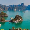 La baie de Ha Long. Photo : Robert Baldwin/Shutterstock