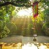 Matin d'automne au temple Quan Thanh à Hanoi. Photo : VNA