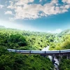 Un train Thông Nhât traversant le col des nuages à Dà Nang. Source: Centre d'information touristique