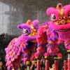 La danse de la licorne, du lion et du dragon, souvent pratiquée par les Hoa, est un mélange de danse, d’arts martiaux et de passion. Photo: vneconomy.vn