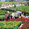 Le bonheur est dans les champs de fleurs. Photo: dulich.dongthap.gov.vn