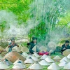 Le village artisanal de Phu Gia regroupe environ 110 ménages, soit plus de 300 artisans, produisant plus de 3.300 chapeaux coniques chaque année. Photo: baoxaydung