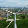 Un parc éolien dans la province de Ninh Thuân (Centre). Photo : VNA