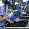 Des ouvriers examinent des circuits électroniques dans une entreprise à capitaux sud-coréens dans le parc industriel de Yên Phong, dans la province de Bac Ninh. Photo : VNA