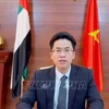 L’ambassadeur du Vietnam aux Émirats arabes unis, Nguyên Thanh Diêp. Photo: VNA