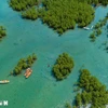 Forêt de mangroves de la baie de Dam, baie de Nha Trang, province de Khanh Hoa vue d'en haut. Photo: VNA