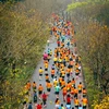 Les coureurs participent au marathon de Tràng An 2023. Photo: VNA