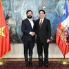 Le président vietnamien Luong Cuong (à droite) et son homologue chilien Gabriel Boric Font avant leur entretien, à Santiago, 11 novembre. Photo: VNA