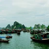 Soc Trang turns sea-borne economy into major pillar 