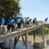 Bridge built to reach flood-isolated Dong Nai