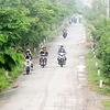Truong Van Da road in Binh Chanh District, HCM City. (Photo: sggp.gov.vn)