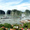 PR training workshop for Ha Long Bay preservation project