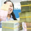 Vietnam has adequate budget oversight