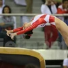 Vietnamese gymnasts return empty-handed