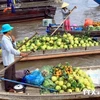 Mekong Delta region boosts tourism products 