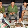 Large-number wild animal traps seized in Quang Binh