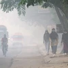 Malaysia willing to help Indonesia address haze 